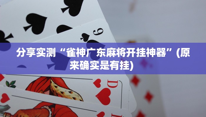 教程辅助“闲逸斗地主透视软件”(透视)其实确实有挂