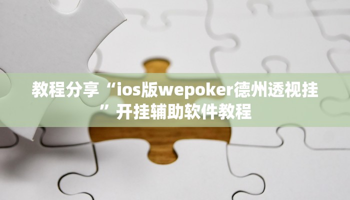 教程分享“ios版wepoker德州透视挂”开挂辅助软件教程