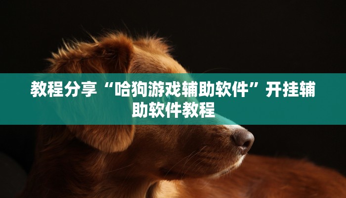 辅助神器“雅苑蕲春麻将确实真的有挂”其实确实有挂