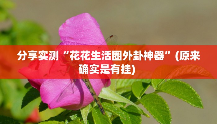 分享实测“加个菜十三水开挂神器”(原来确实是有挂) 