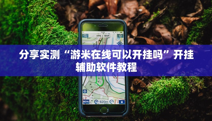 分享实测“游米在线可以开挂吗”开挂辅助软件教程