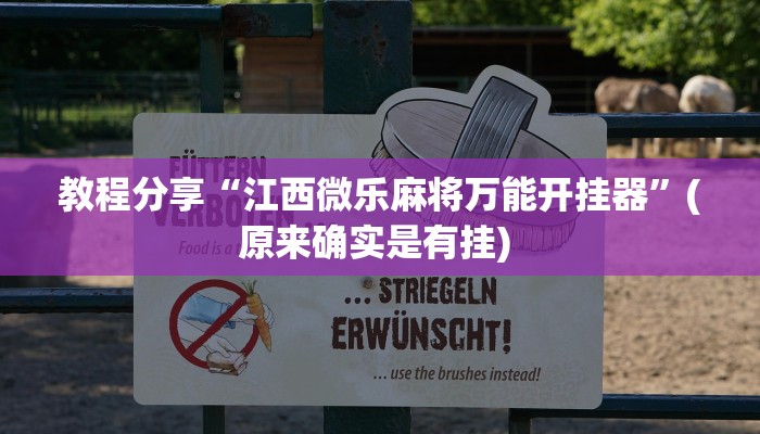教程分享“江西微乐麻将万能开挂器”(原来确实是有挂) 