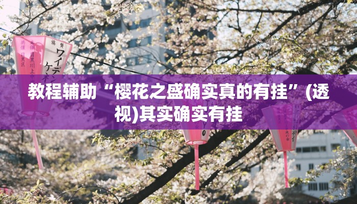 教程辅助“开心联盟开挂神器”(透视)其实确实有挂