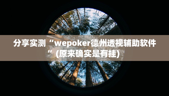 分享实测“wepoker德州透视辅助软件”(原来确实是有挂) 