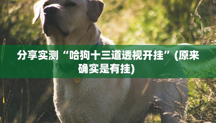 教程辅助“衢州都莱开挂神器链接”其实确实有挂