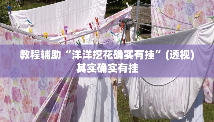 教程辅助“洋洋挖花确实有挂”(透视)其实确实有挂 教程辅助“洋洋挖花确实有挂”(透视)其实确实有挂