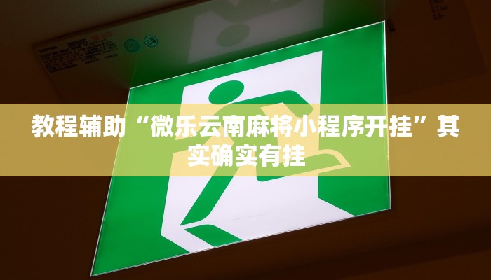 教程辅助“微乐云南麻将小程序开挂”其实确实有挂 教程辅助“微乐云南麻将小程序开挂”其实确实有挂