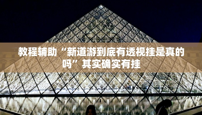 教程辅助“新道游到底有透视挂是真的吗”其实确实有挂