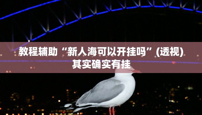 教程辅助“新人海可以开挂吗”(透视)其实确实有挂