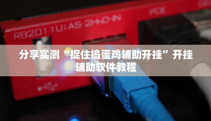 分享实测“捉住捣蛋鸡辅助开挂”开挂辅助软件教程