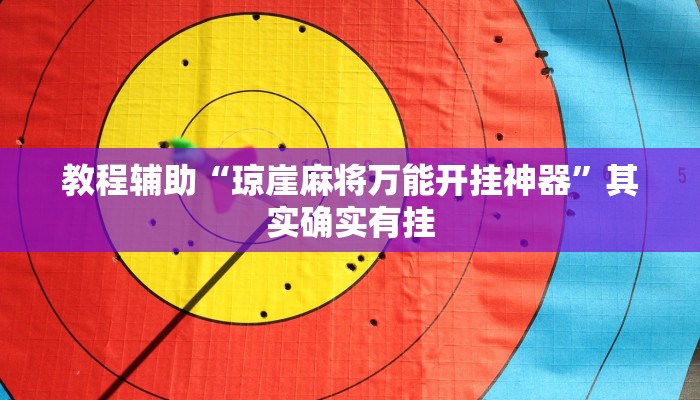 教程辅助“琼崖麻将万能开挂神器”其实确实有挂