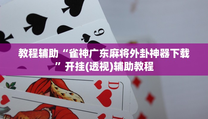 教程辅助“雀神广东麻将外卦神器下载”开挂(透视)辅助教程 教程辅助“雀神广东麻将外卦神器下载”开挂(透视)辅助教程