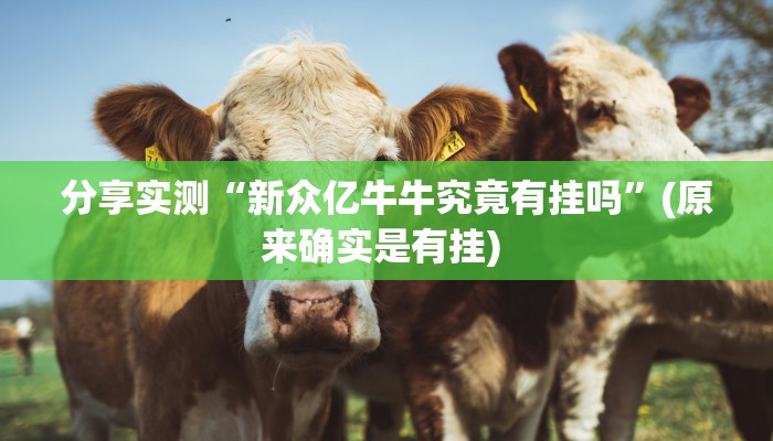 教程分享“wepoker作弊器透视挂”开挂辅助软件教程 教程分享“wepoker作弊器透视挂”开挂辅助软件教程