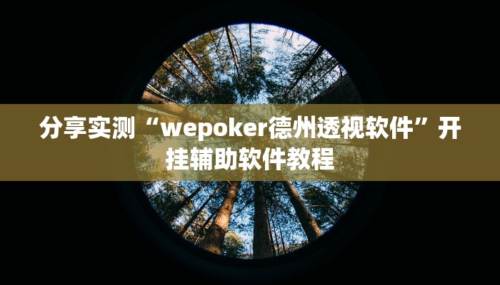 分享实测“wepoker德州透视软件”开挂辅助软件教程