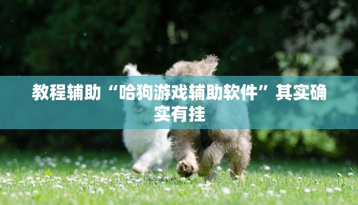 辅助神器“微乐辅助神器开挂教程”其实确实有挂