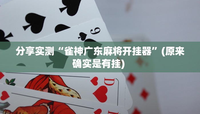 分享实测“雀神广东麻将开挂器”(原来确实是有挂) 