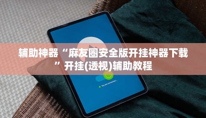 辅助神器“麻友圈安全版开挂神器下载”开挂(透视)辅助教程 辅助神器“麻友圈安全版开挂神器下载”开挂(透视)辅助教程