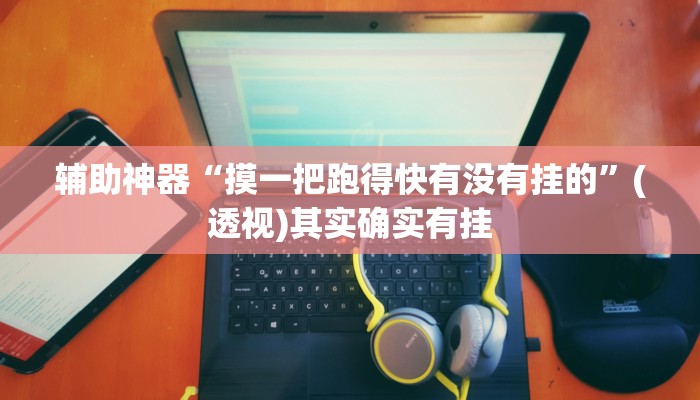 辅助神器“摸一把跑得快有没有挂的”(透视)其实确实有挂