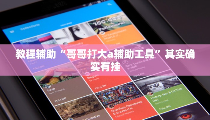 教程辅助“哥哥打大a辅助工具”其实确实有挂
