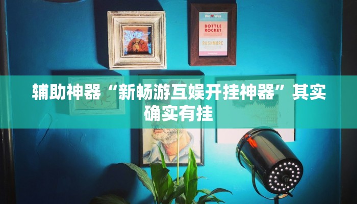 辅助神器“新畅游互娱开挂神器”其实确实有挂