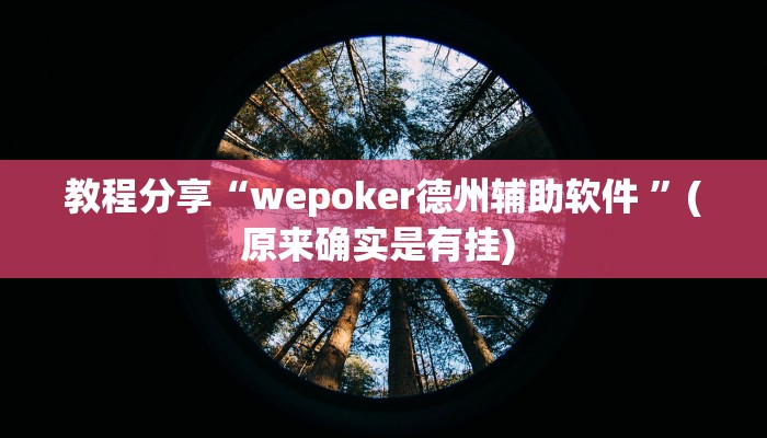 教程分享“wepoker德州辅助软件 ”(原来确实是有挂) 教程分享“wepoker德州辅助软件 ”(原来确实是有挂)