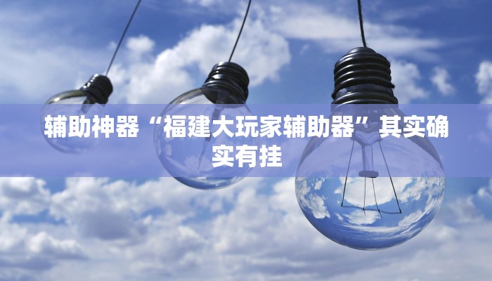 辅助神器“福建大玩家辅助器”其实确实有挂