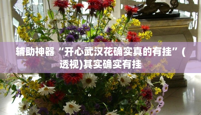 辅助神器“红火众娱可以开挂吗”开挂(透视)辅助教程