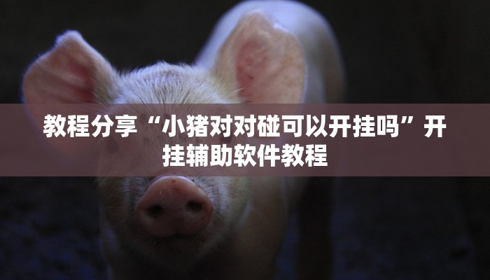 教程分享“方片十三张万能开挂器”开挂辅助软件教程