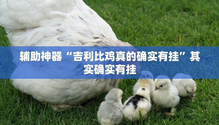 辅助神器“吉利比鸡真的确实有挂”其实确实有挂