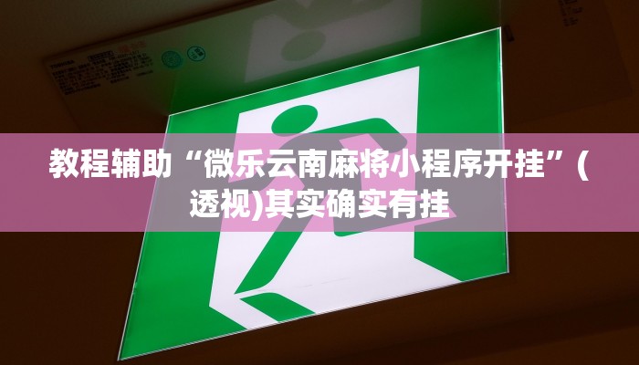 教程辅助“广丰五十k真的确实有挂”(透视)其实确实有挂