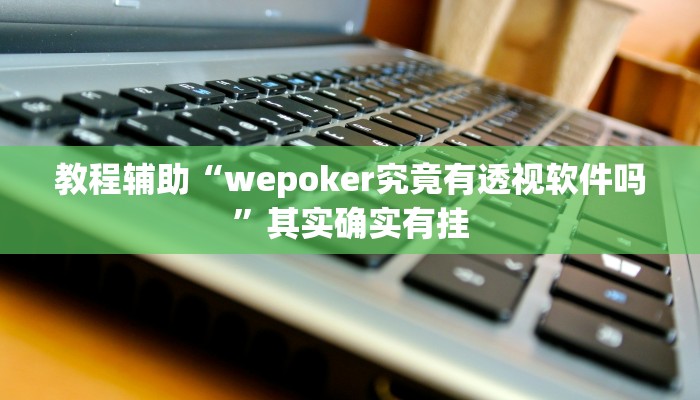 教程辅助“wepoker究竟有透视软件吗”其实确实有挂