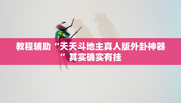 辅助神器“浙江游戏大厅双扣辅助工具”开挂(透视)辅助教程