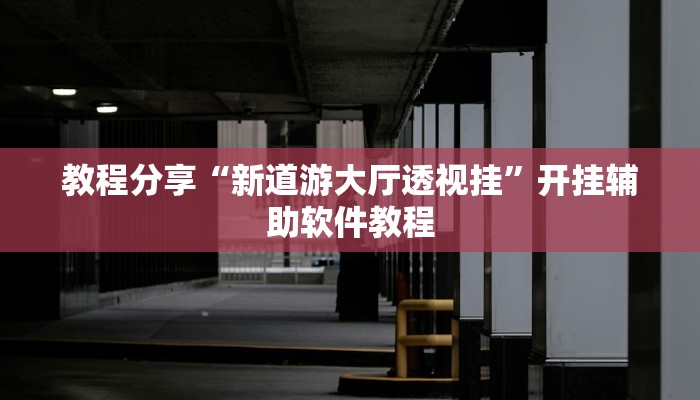 教程分享“新道游大厅透视挂”开挂辅助软件教程 教程分享“新道游大厅透视挂”开挂辅助软件教程