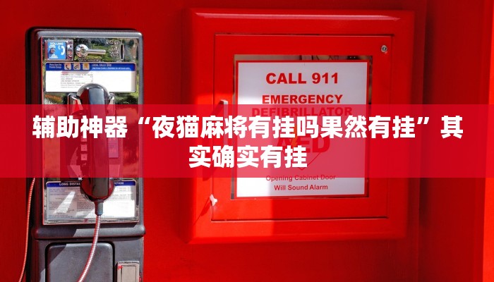 辅助神器“夜猫麻将有挂吗果然有挂”其实确实有挂