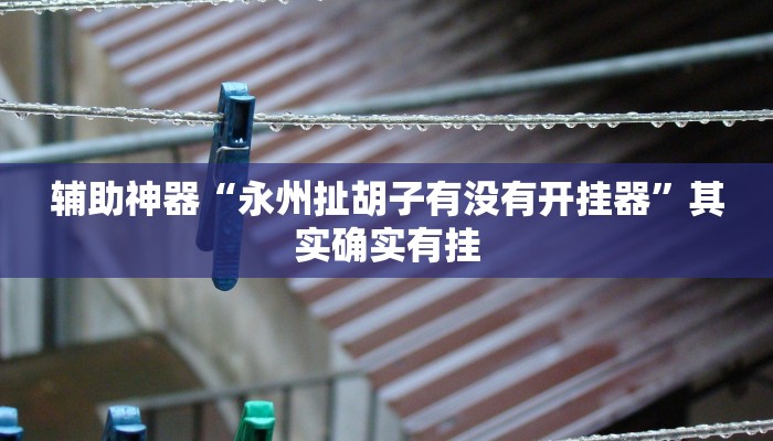 辅助神器“永州扯胡子有没有开挂器”其实确实有挂
