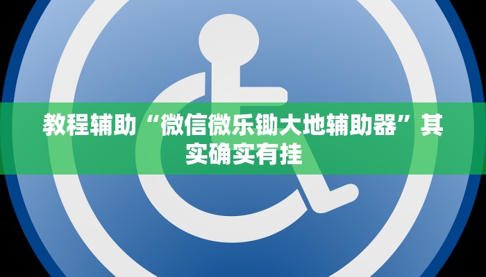 教程辅助“微信微乐锄大地辅助器”其实确实有挂