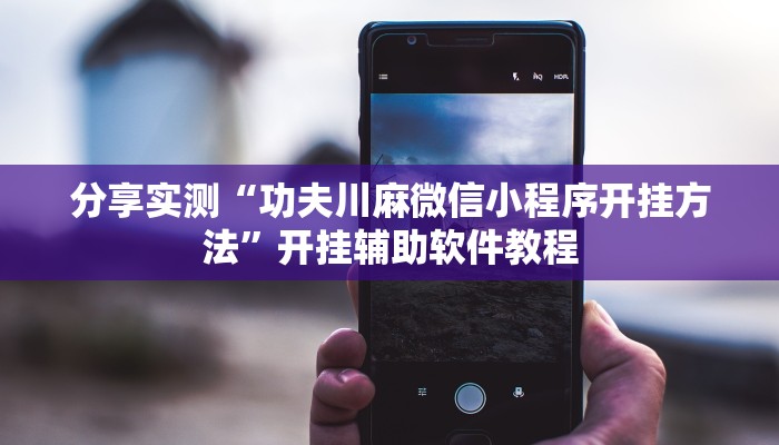 分享实测“功夫川麻微信小程序开挂方法”开挂辅助软件教程