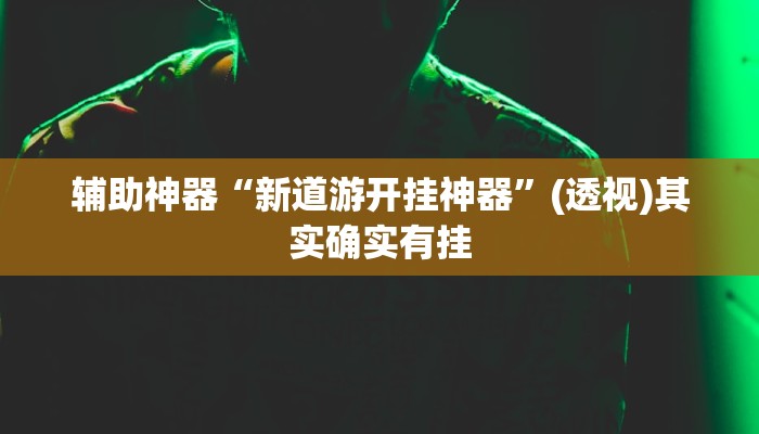 辅助神器“新道游开挂神器”(透视)其实确实有挂 辅助神器“新道游开挂神器”(透视)其实确实有挂