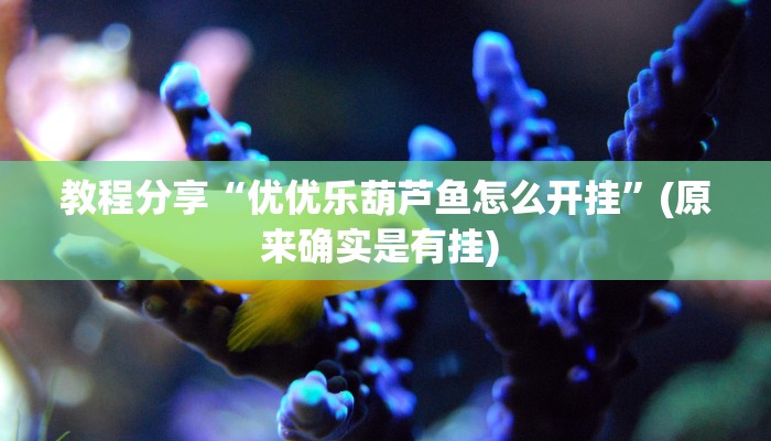 教程分享“优优乐葫芦鱼怎么开挂”(原来确实是有挂) 