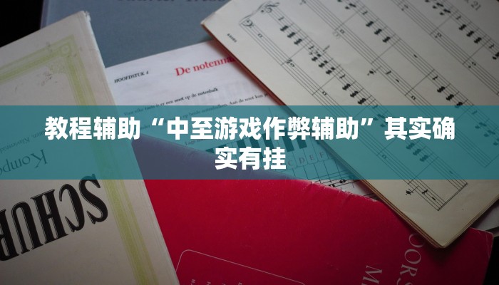 教程辅助“中至游戏作弊辅助”其实确实有挂 教程辅助“中至游戏作弊辅助”其实确实有挂