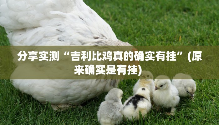 分享实测“吉利比鸡真的确实有挂”(原来确实是有挂) 