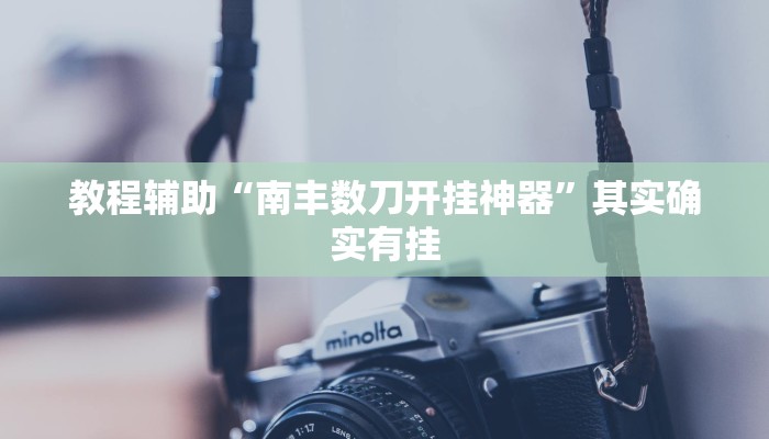 教程辅助“南丰数刀开挂神器”其实确实有挂
