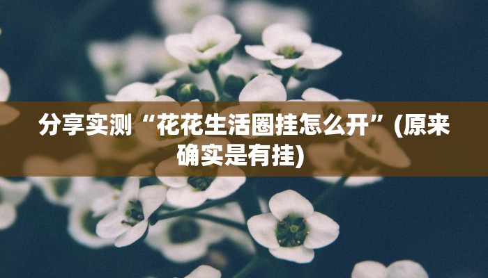 分享实测“花花生活圈挂怎么开”(原来确实是有挂) 