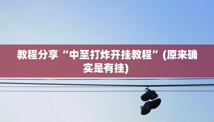 教程分享“中至打炸开挂教程”(原来确实是有挂) 
