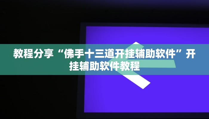 教程分享“佛手十三道开挂辅助软件”开挂辅助软件教程