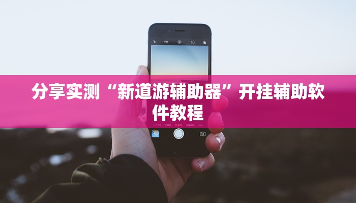 分享实测“新道游辅助器”开挂辅助软件教程