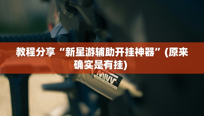 教程分享“新星游辅助开挂神器”(原来确实是有挂) 