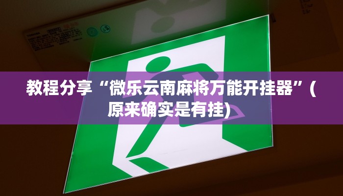 教程分享“微乐云南麻将万能开挂器”(原来确实是有挂) 