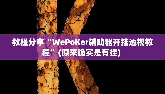 教程分享“WePoKer辅助器开挂透视教程”(原来确实是有挂) 