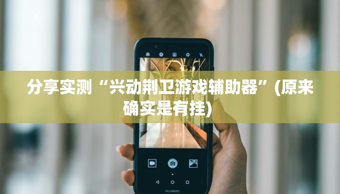 分享实测“兴动荆卫游戏辅助器”(原来确实是有挂) 